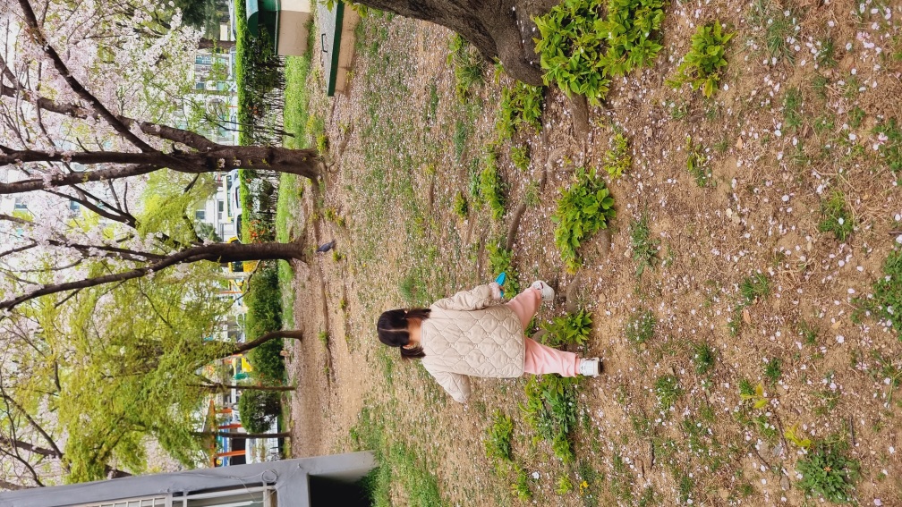 2024년04년08일-산호반-이해나-5424715791.jpg