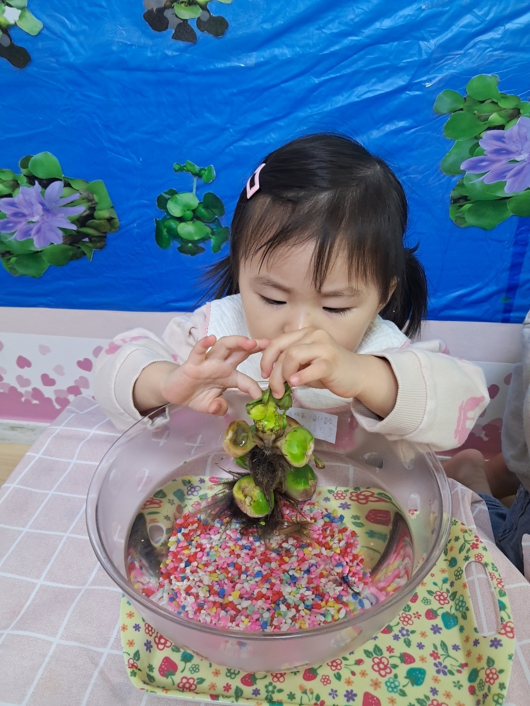2024년05년16일-산호반-이해나-5590923125.jpg