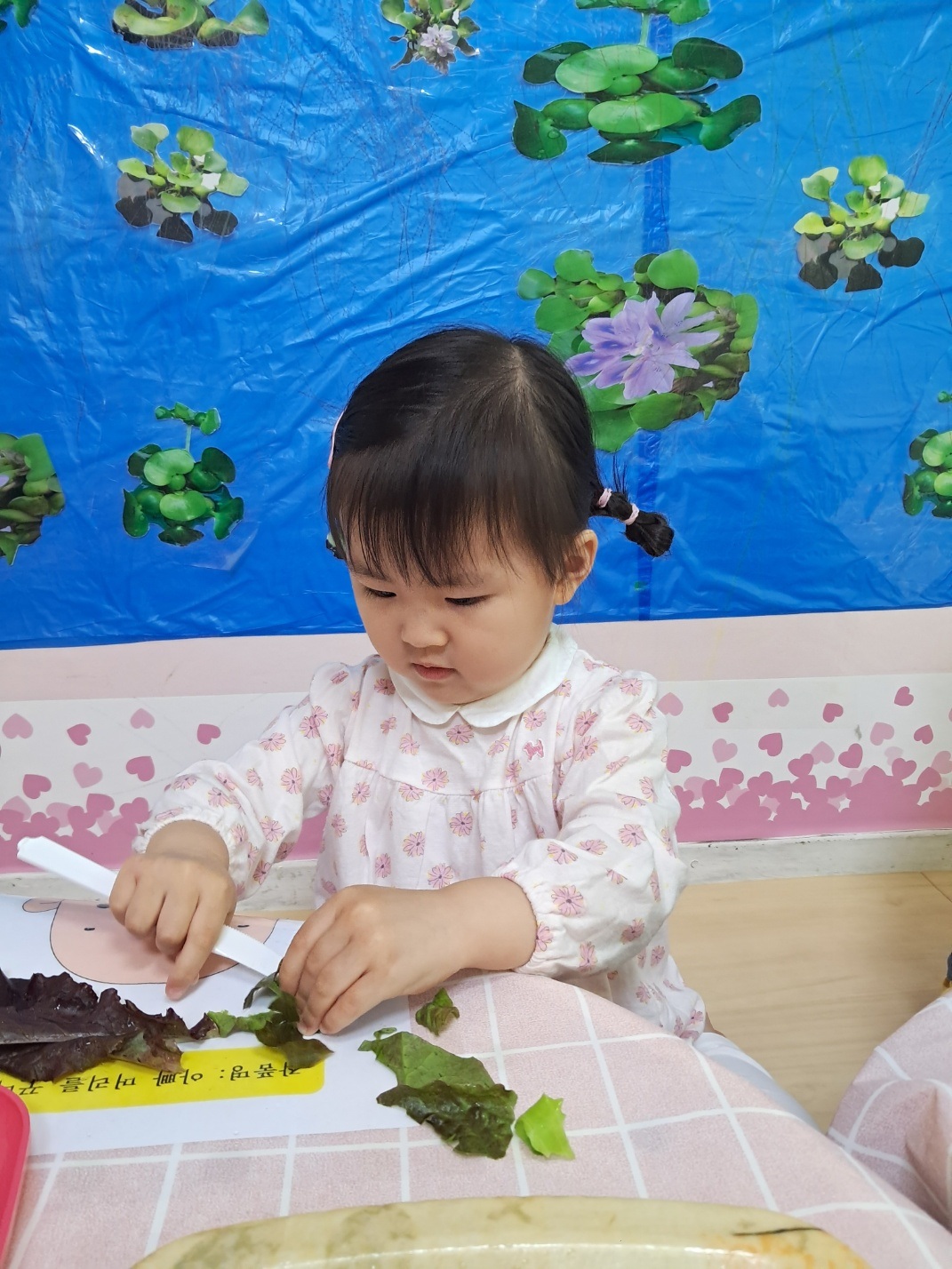 2024년05년21일-산호반-이해나-5611699372.jpg