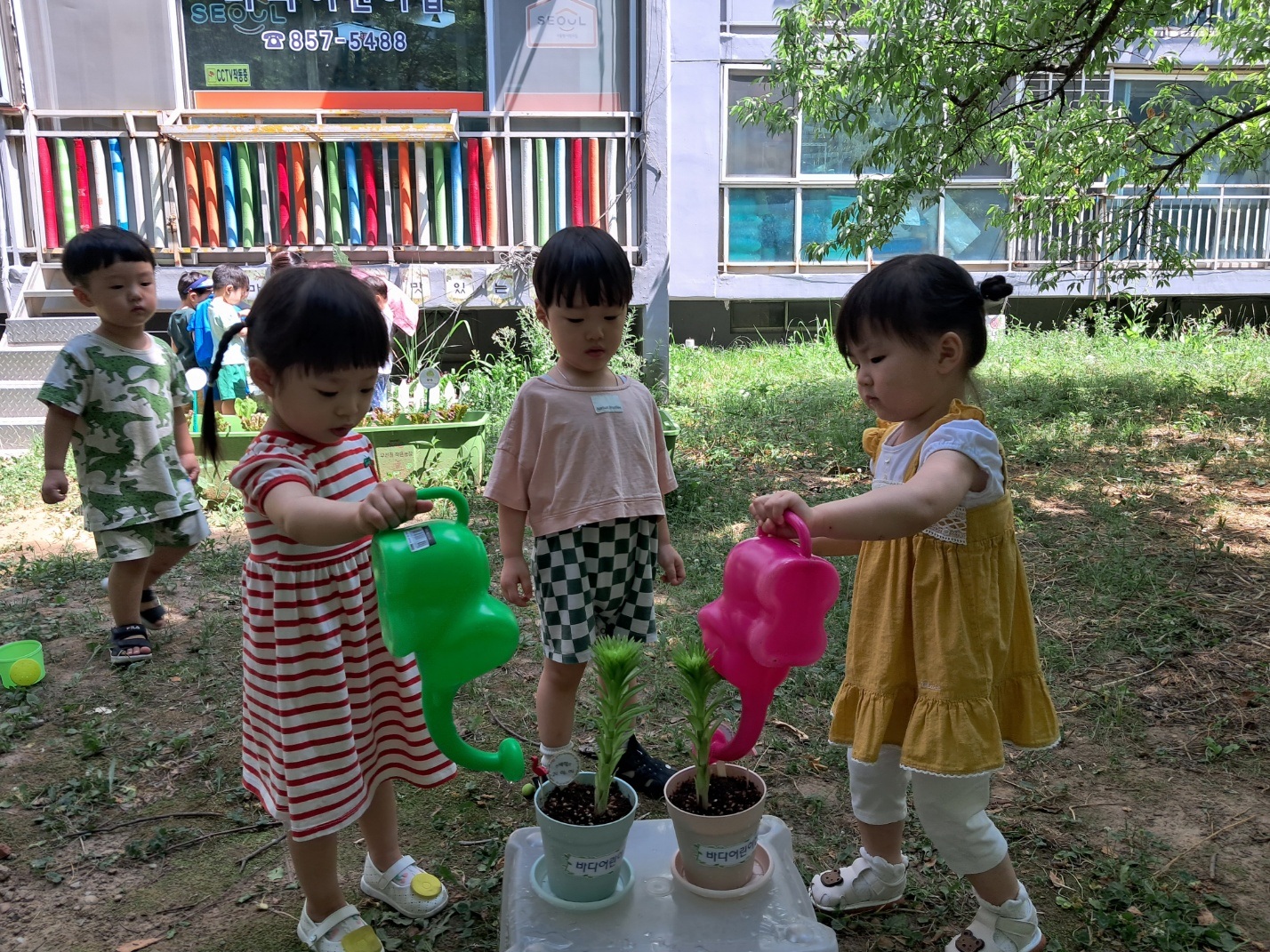 2024년06년21일-산호반-이해나-5761949839.jpg