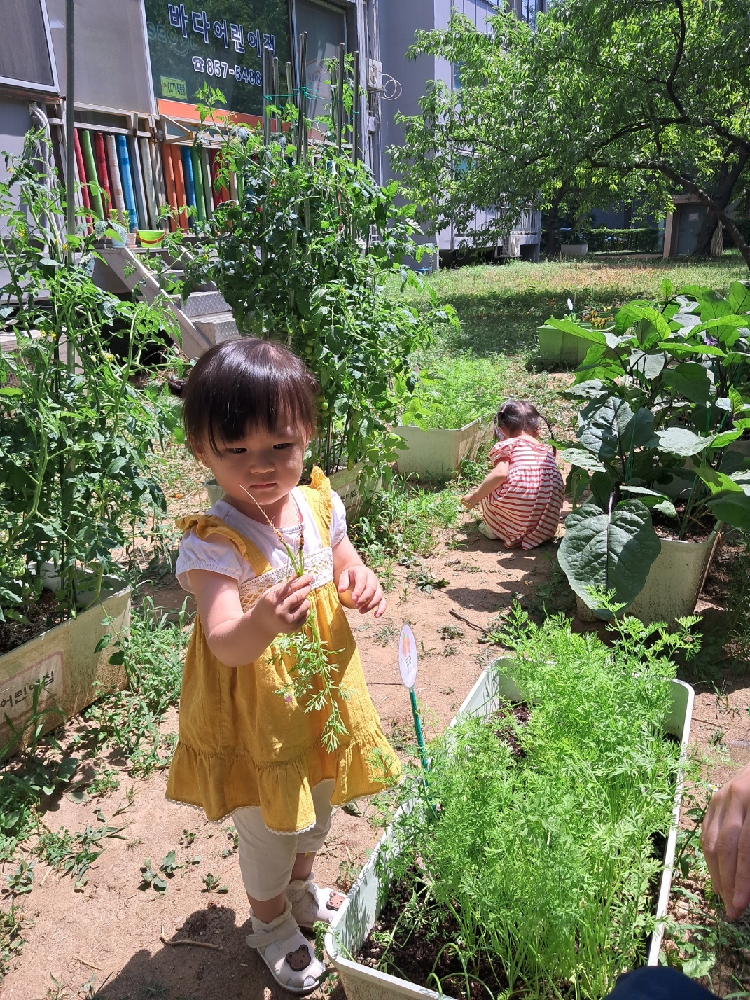 2024년06년21일-산호반-이해나-5761949841.jpg